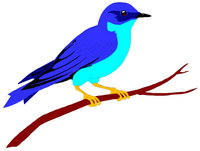 Pájaro