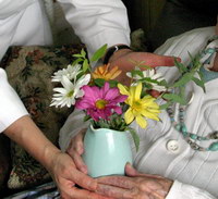 Flores y color