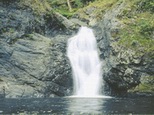 Catarata